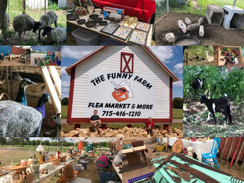 Funny Farm Flea Market And More Flea Market Zone Directory